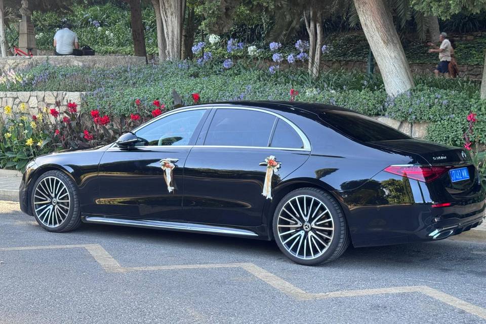 Luxury transfer Malaga
