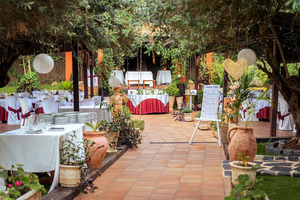Boda de Patri y David