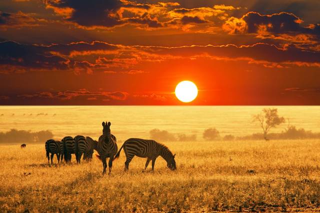 Sudáfrica