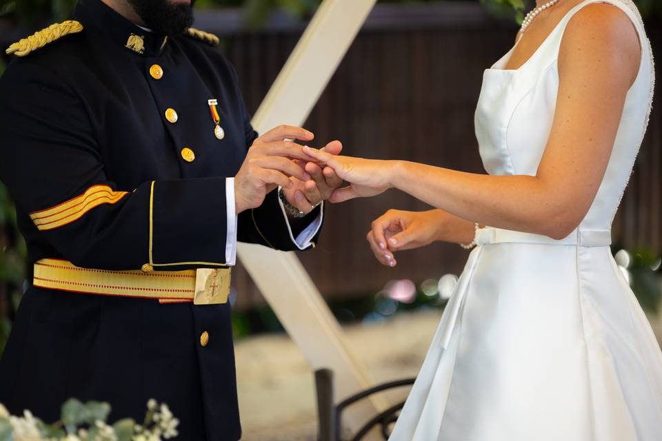 Novios