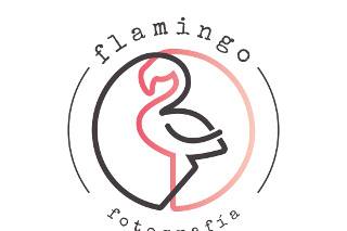 Flamingo Fotografía