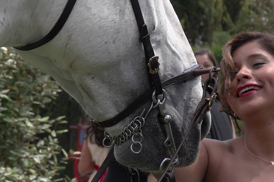 Postboda con caballo