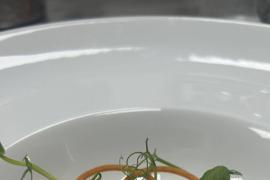 Gazpacho de aguacate