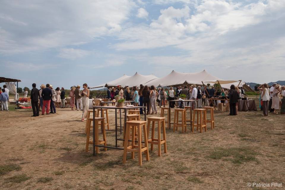 Patricia Fillat Photographer