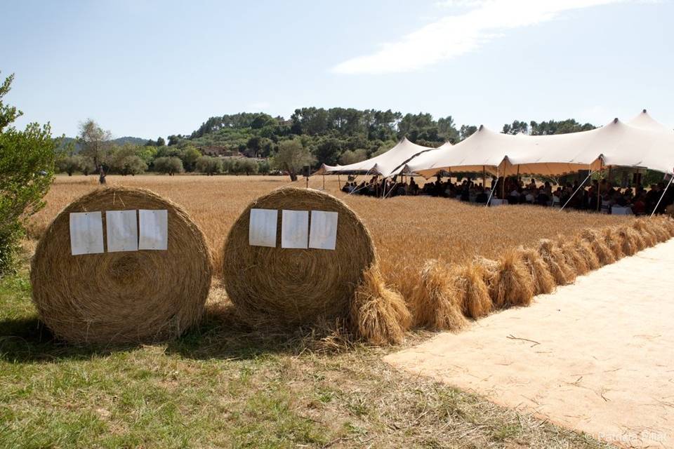 Patricia Fillat Photographer