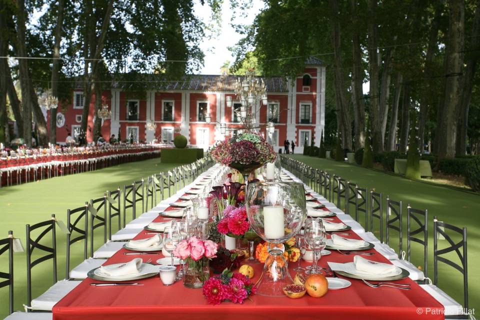 Patricia Fillat Photographer