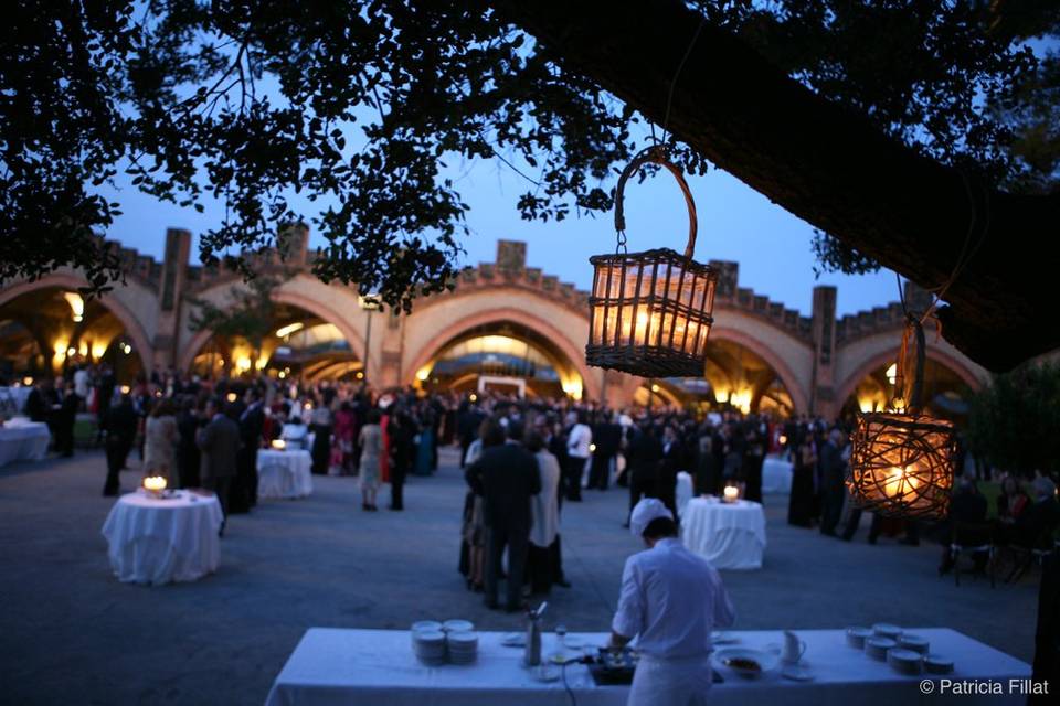 Patricia Fillat Photographer