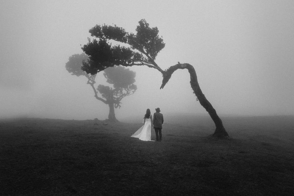 Sesiones postboda en Madeira