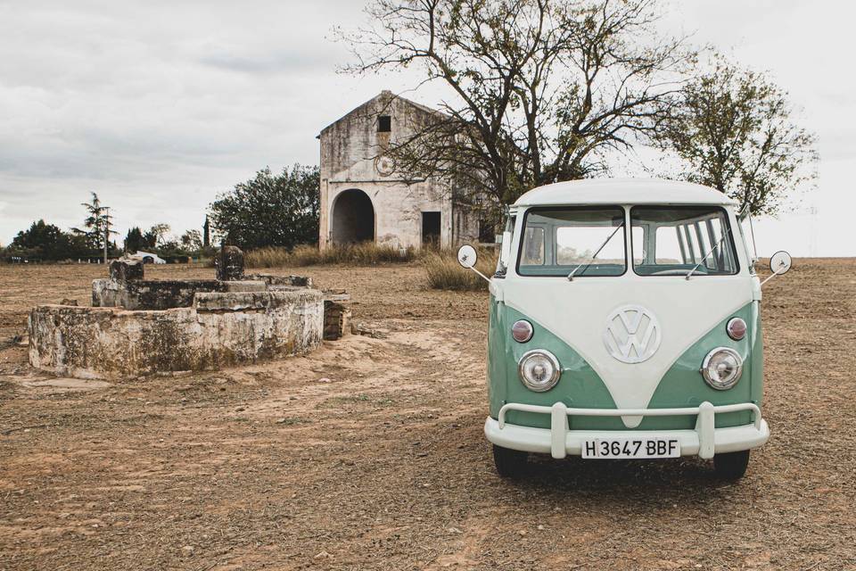 Wedding Bus