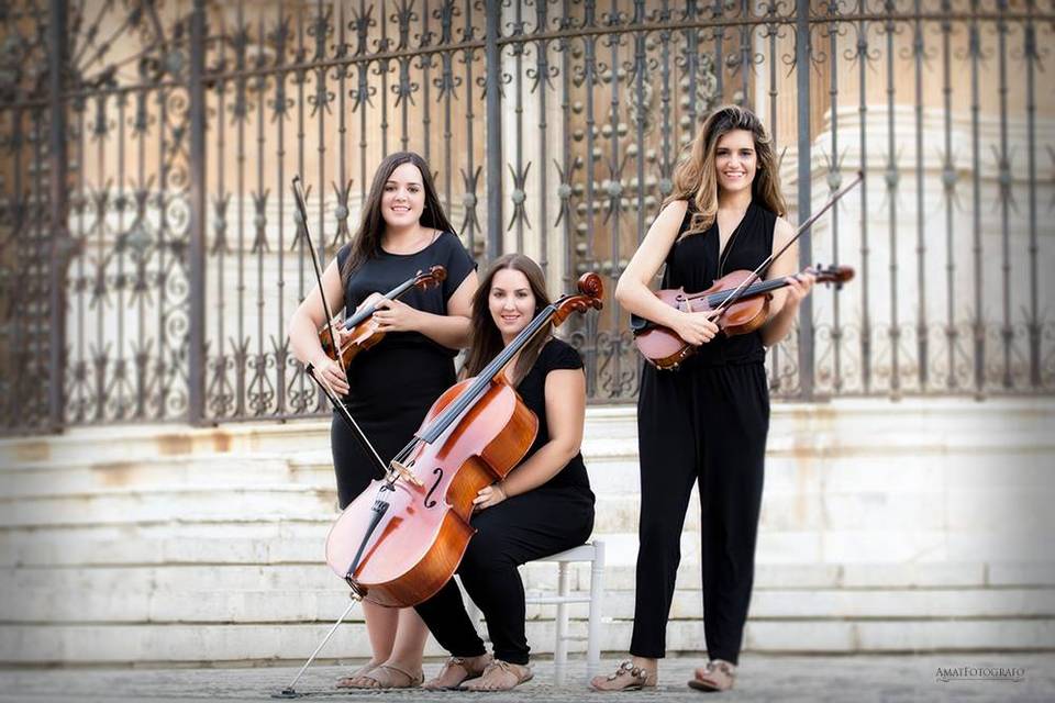 Cuarteto Amabile