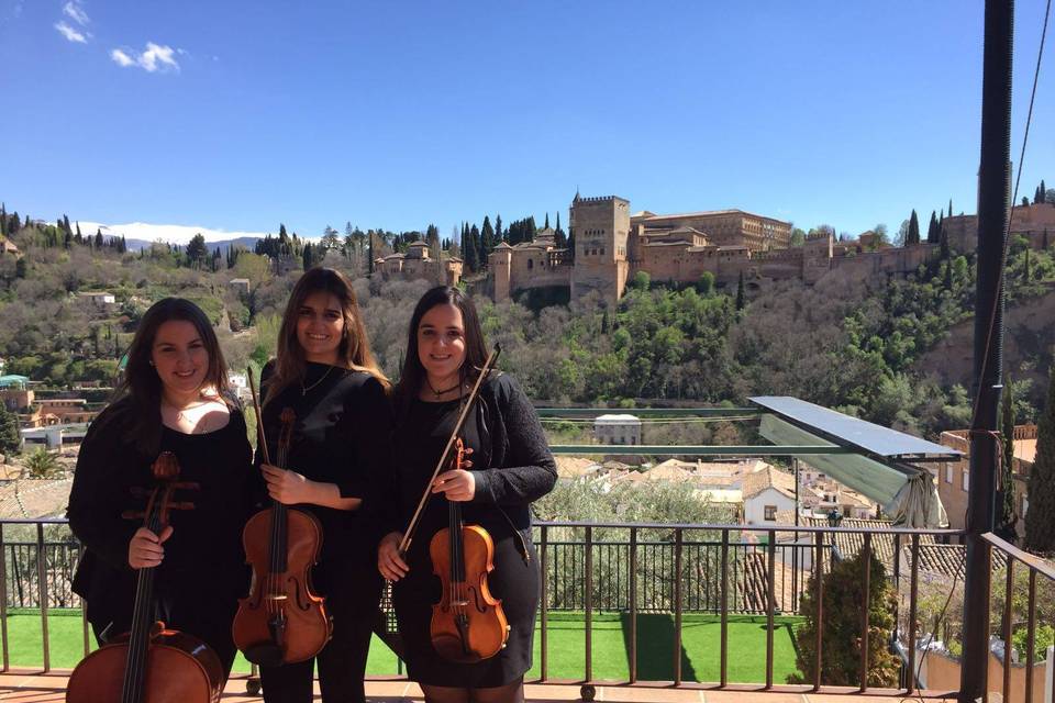 Cuarteto Amabile