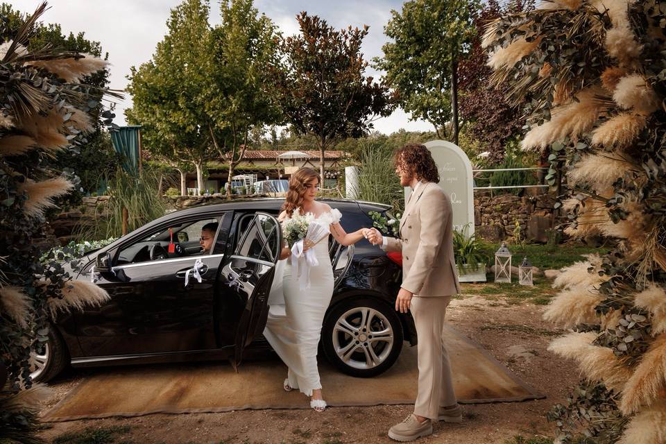 Bodas 2025