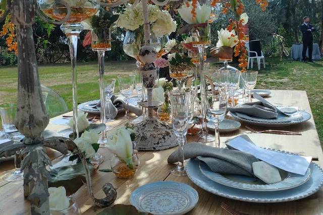 CV by Catering De Violeta