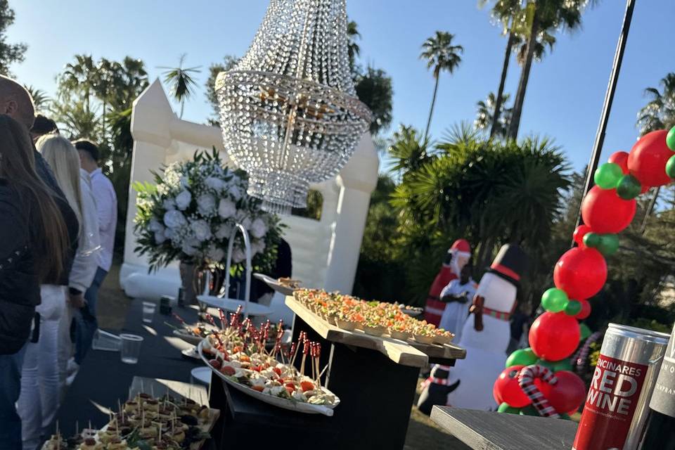 CV by Catering De Violeta