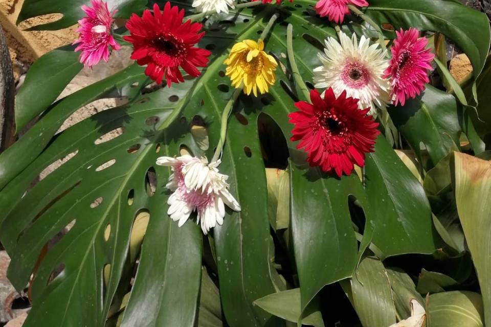 Flores naturales