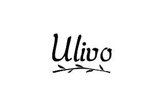 Ulivo Catering