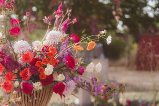 Clavelitos Taller Floral
