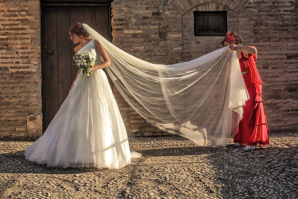 Boda de Mamen y Francisco