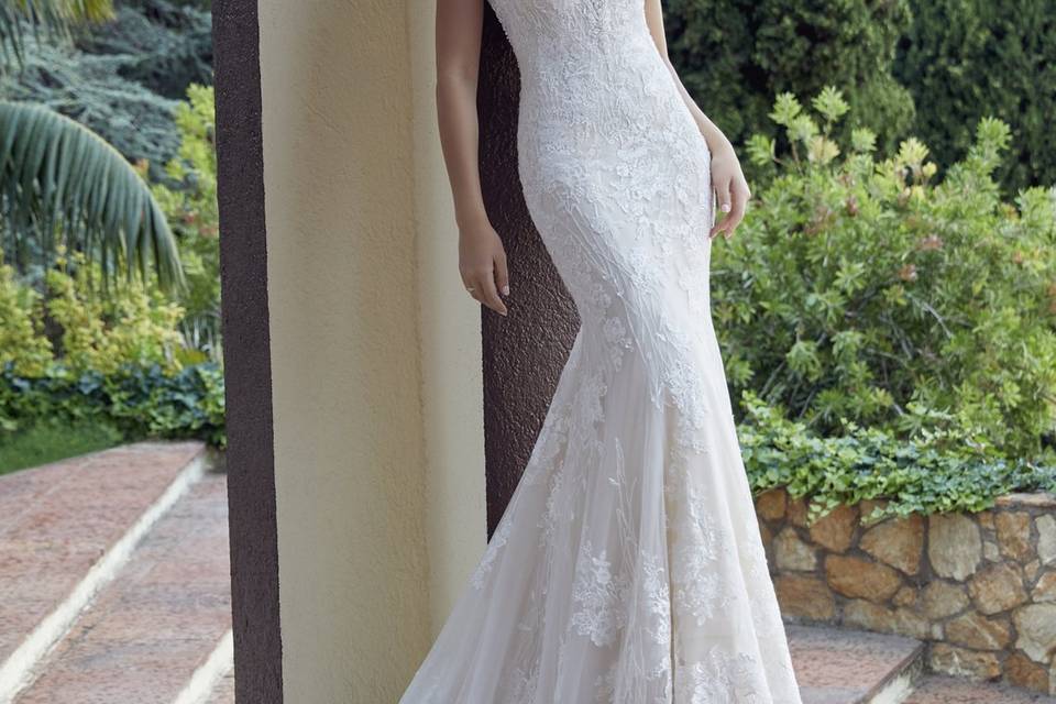 Mori lee