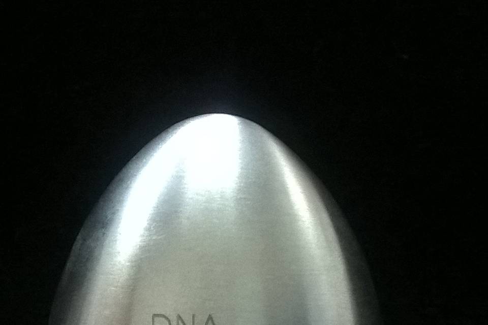 Dna Family Book