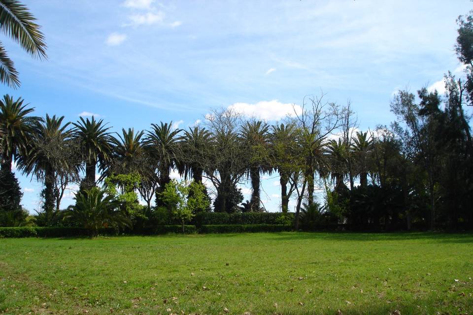 1ª cuadrícula del parque