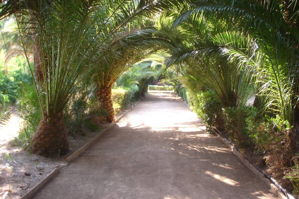 Paseo por el parque