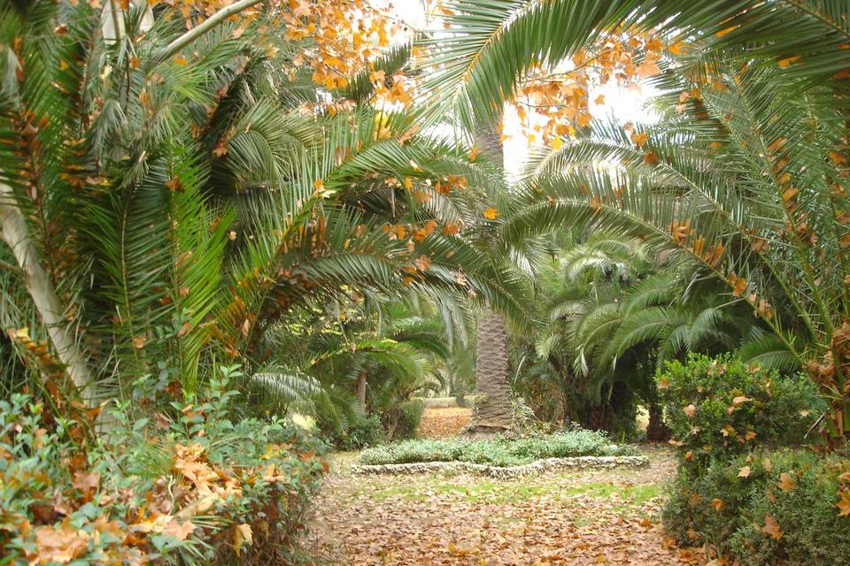 Parque de Hacienda La Vara - invierno