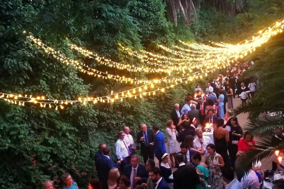 Buffet en el paseo de Las Palmeras