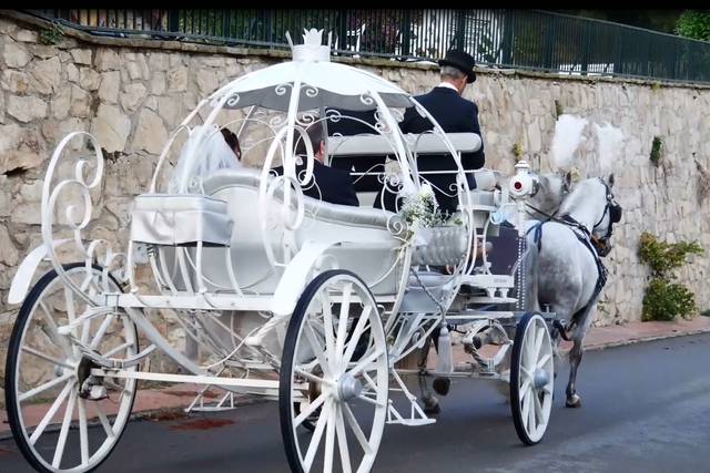 Boda de Anna