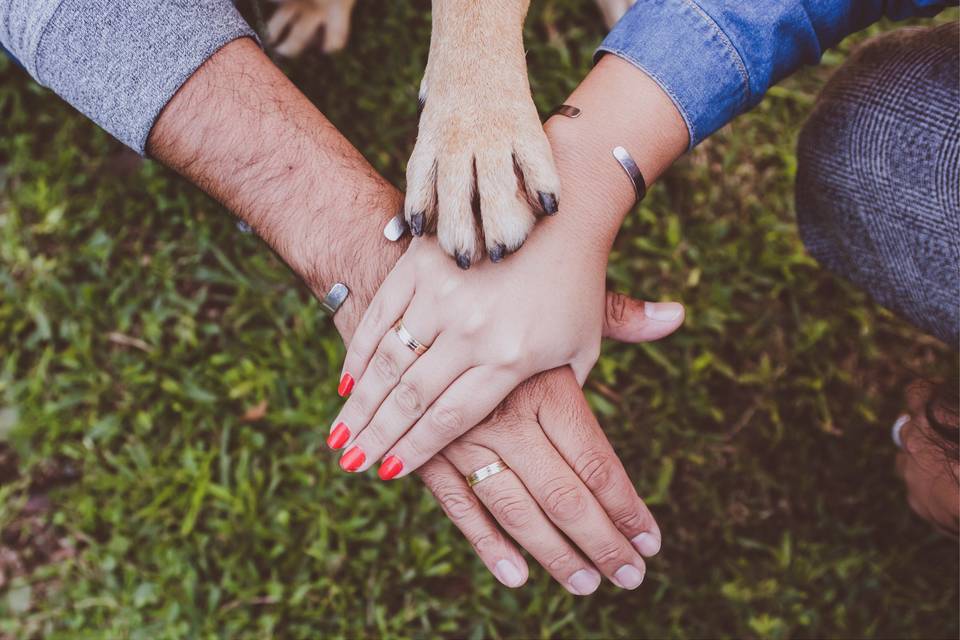 Reportaje de preboda con animales