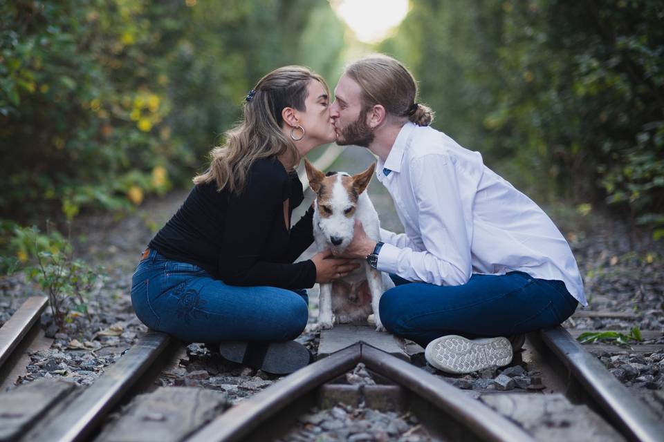 Preboda con animales