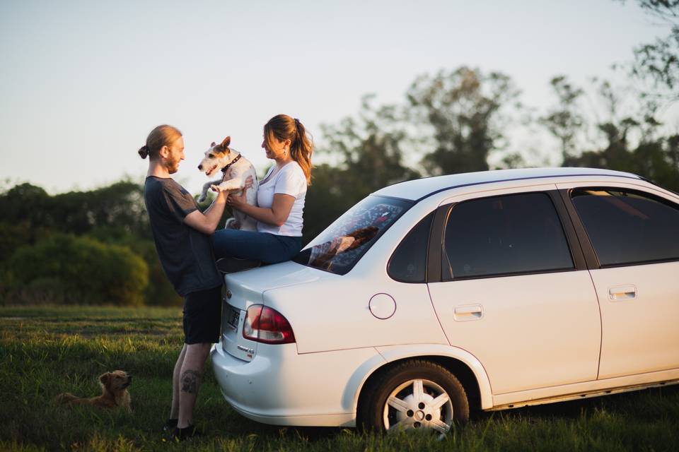 Preboda con animales