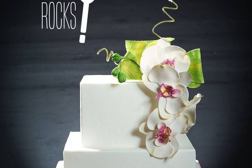 Cakery Rocks