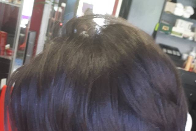 Corte