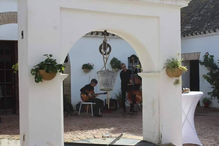 Amenización