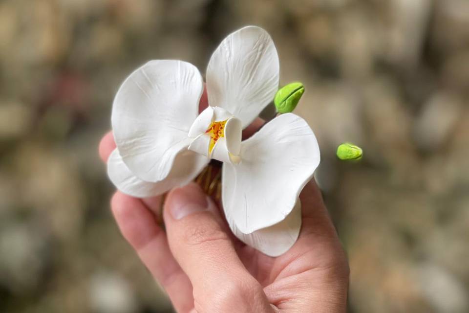 Horquilla de Orquídea
