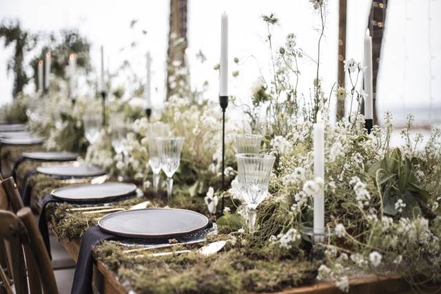 Decorando con naturaleza viva