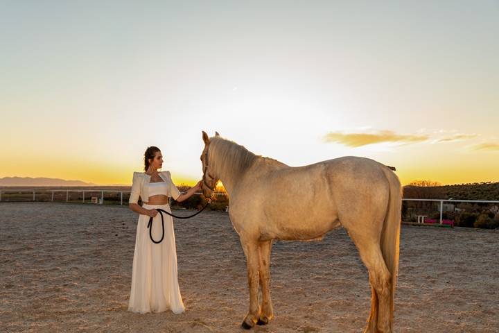 Jornada con caballos