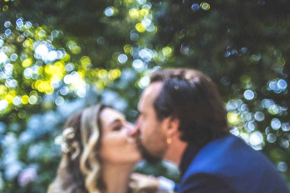 Fotografía boda mascotas