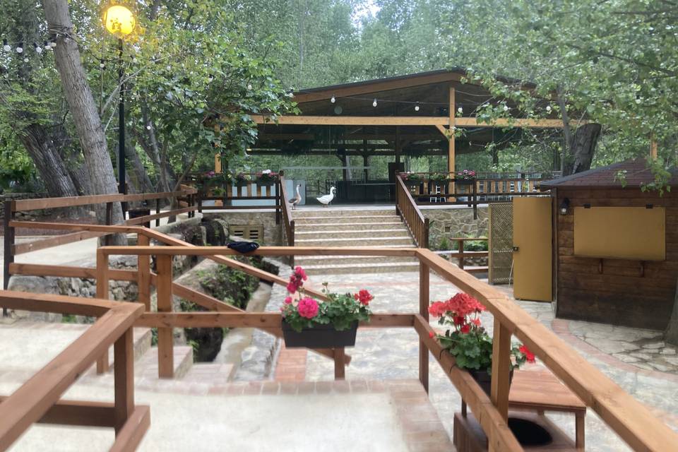 Nuevo Salón
