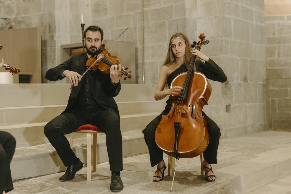 Viola & Violoncello