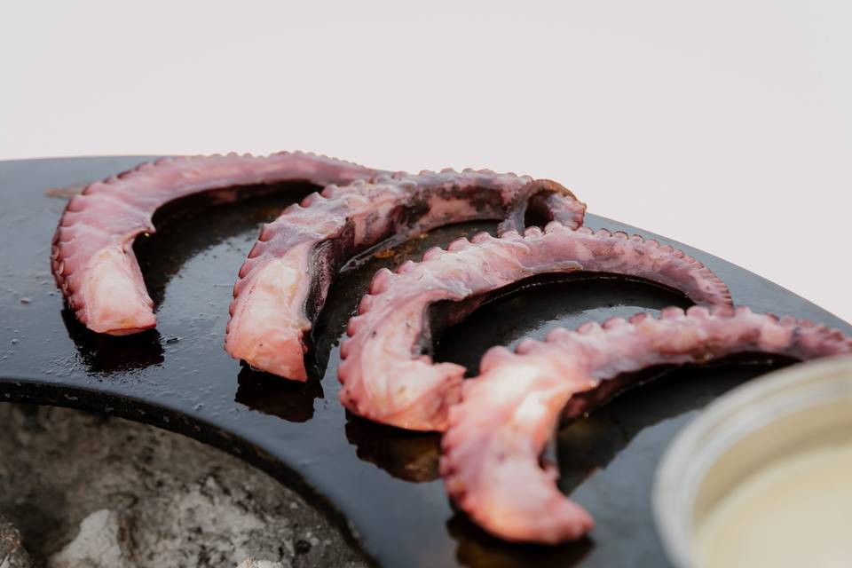 Pulpo