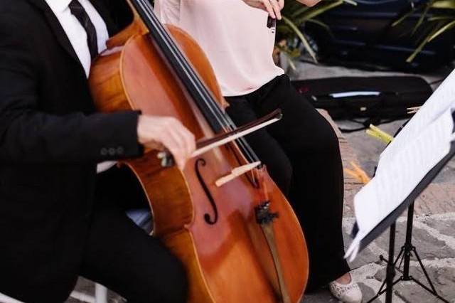 Violinista en Málaga