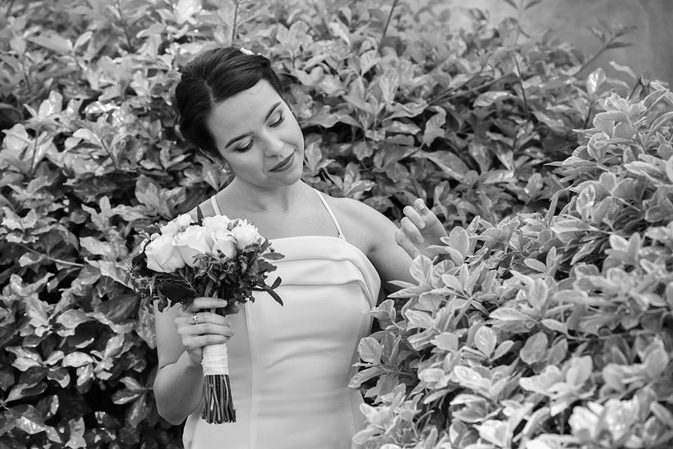 Novia