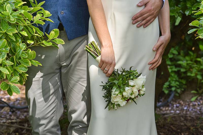 Novios