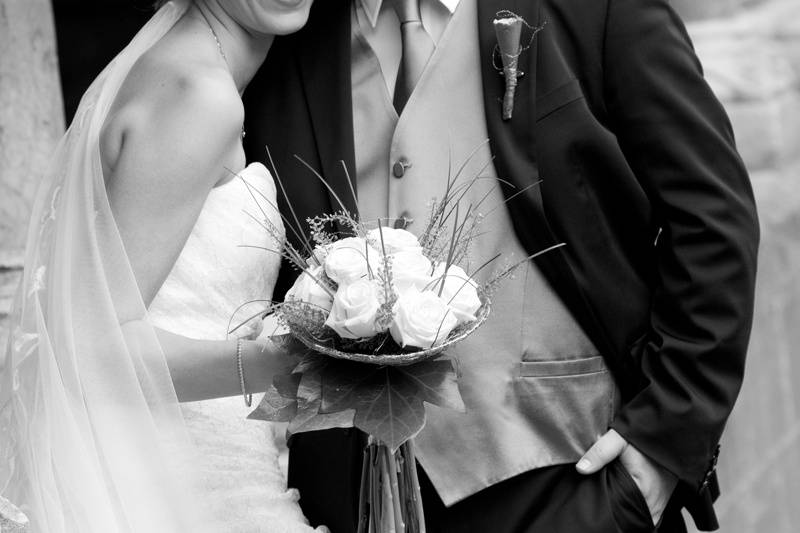 Novios