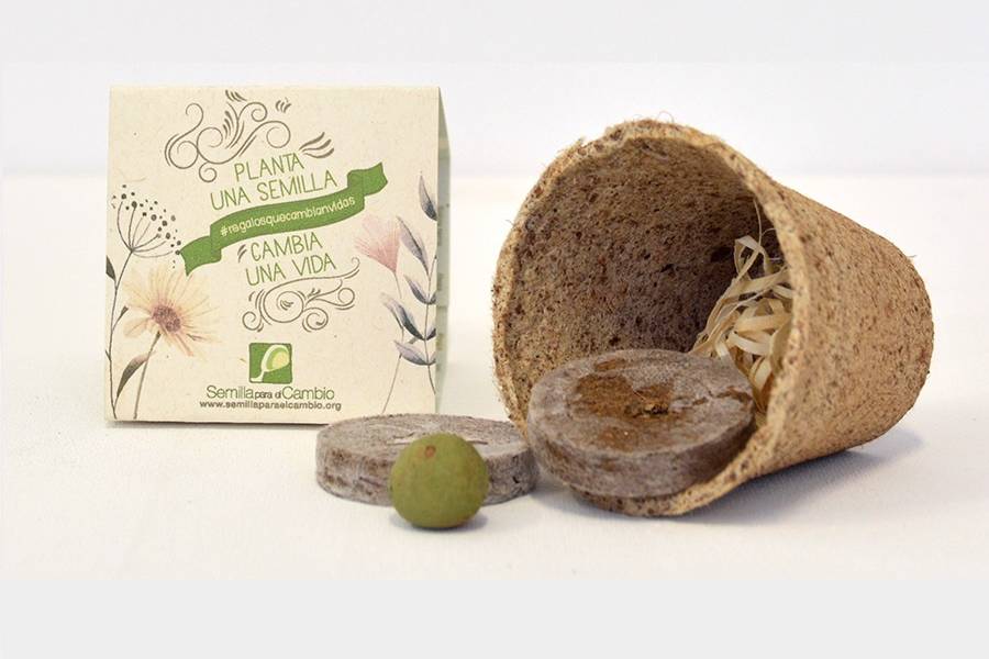 Ecokit semillas aromáticas