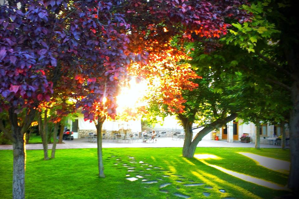 Jardín de noche