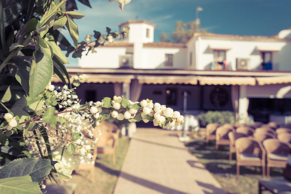 Ceremonia de boda