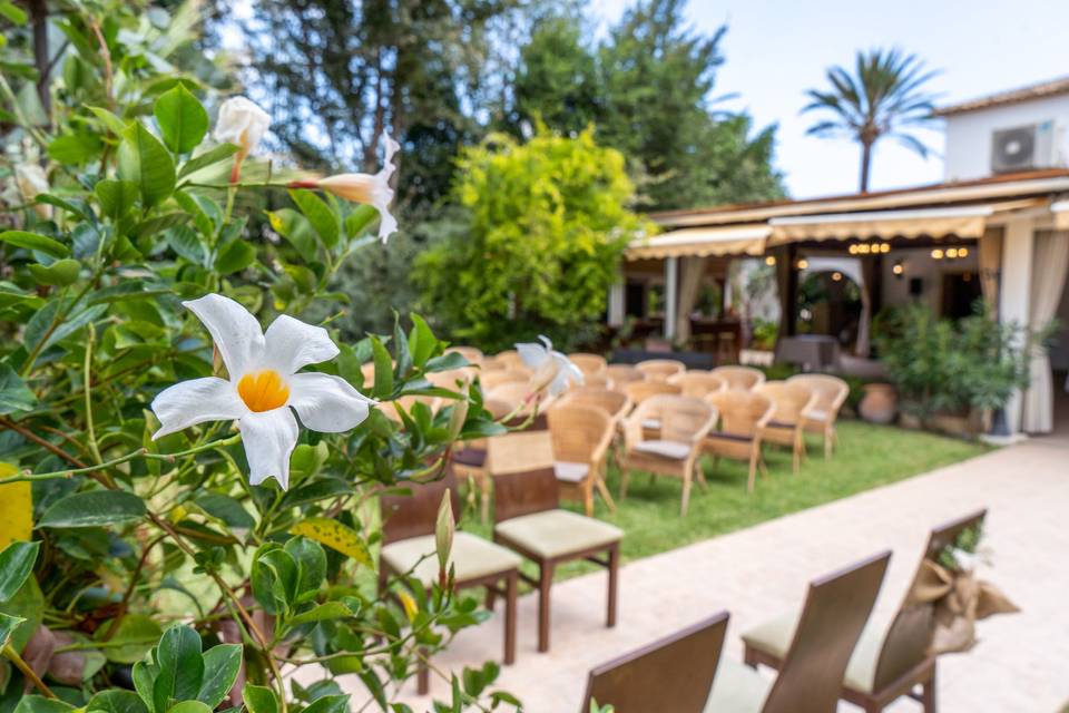 Ceremonia de boda